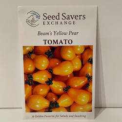 Beam's Yellow Pear Tomato